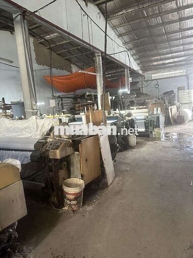 xưởng cho thuê xuân Thới Sơn hóc môn có pccc giá 70tr