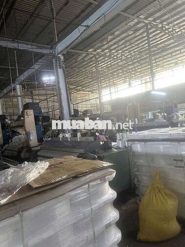 xưởng cho thuê xuân Thới Sơn hóc môn có pccc giá 70tr