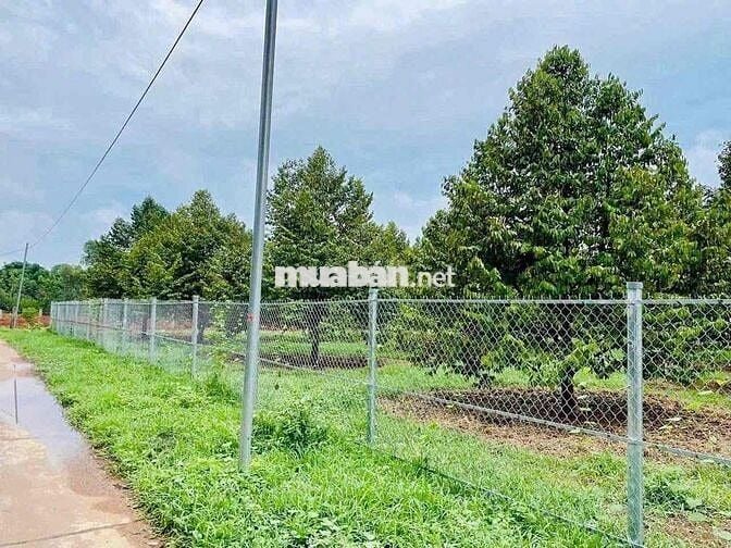 bán gấp chớ ko có nhu cầu giá công khai 390tr bao sổ 5500m2