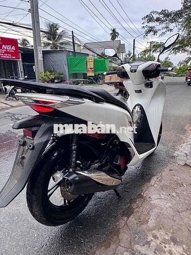 Honda SH 2023 Trắng