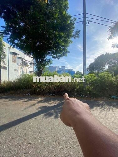 Bán Đất Mai Đăng Chơn, Giá sập sâu 10%, rẻ nhất khu vực