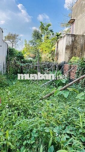 🔥 NHÀ NGANG HIẾM 10M – BÌNH NHÂM, LÁI THIÊU 