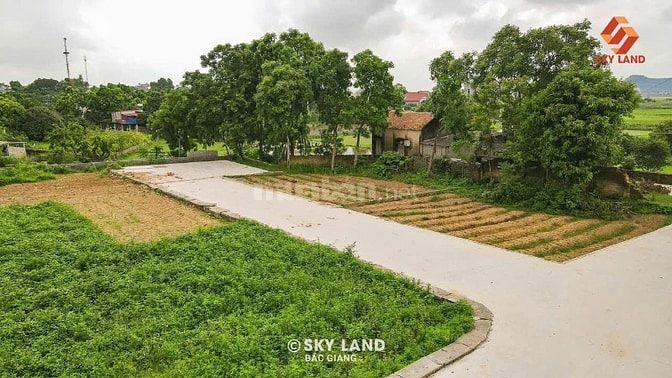 CƠ HỘI HIẾM CÓ, ĐẤT ĐÔ THỊ 438M  MẶT TIỀN 20M, Đường 10M, 2.3 TỶ, Việt