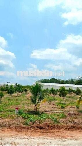 Chính chủ gửi bán lô đất cực đẹp