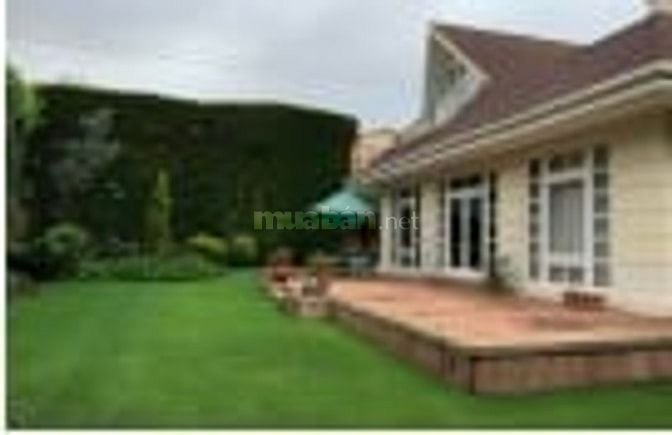 CƠ HỘI HIẾM CÓ, ĐẤT ĐÔ THỊ 438M  MẶT TIỀN 20M, Đường 10M, 2.3 TỶ, Việt