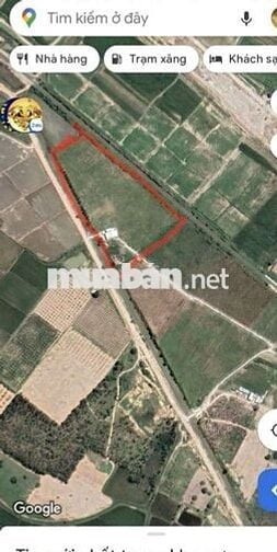 HƠN 1HA ĐẤT VƯỜN CÓ NHÀ SẴN TẠI TÀ BO – PHAN RÍ, GIÁ CHỈ 3,2 TỶ