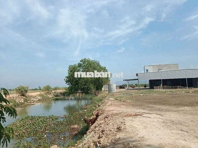 HƠN 1HA ĐẤT VƯỜN CÓ NHÀ SẴN TẠI TÀ BO – PHAN RÍ, GIÁ CHỈ 3,2 TỶ