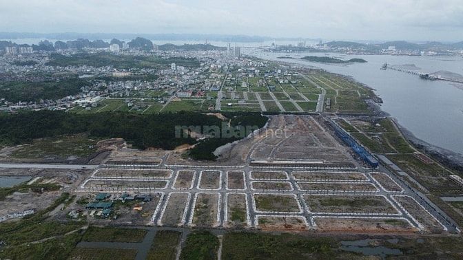 Noble Palace Hạ Long giá khoảng 34tr/m2. Đất nền sổ đỏ sang tay