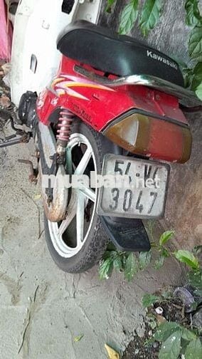  Max Neo Đỏ Trắng Đài Loan