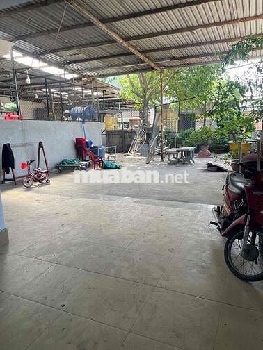 cho thue mt dê bao dt 6x25 -san 6x10 xay dung 6x15 gac lung  ấp 2 vlb