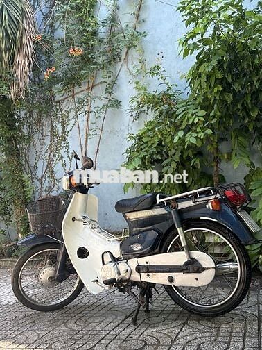 Honda Cup 92 50cc Trắng, xanh đậm