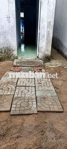 Nhà cấp 4 1/Dương Công Khi-Tân Thới Nhì-Hóc Môn.5,3x26,2~139m~3,65ty