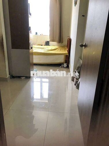 Cho thuê nhà nguyên căn giá rẻ tại TP Thủ Dầu Một, Bình Dương