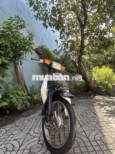 Honda Cup 92 50cc Trắng, xanh đậm