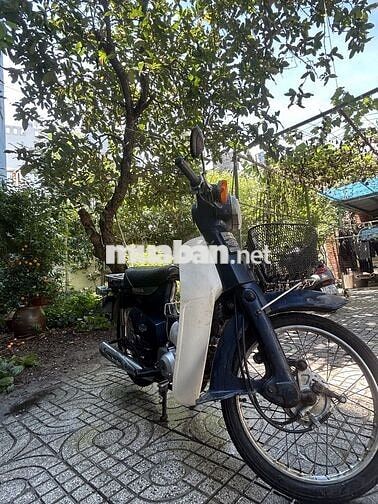Honda Cup 92 50cc Trắng, xanh đậm
