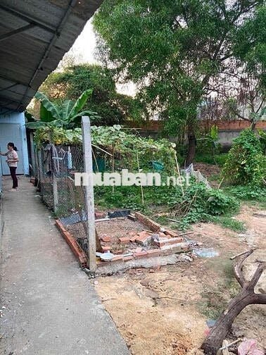 CẦN BÁN NHÀ NGUYÊN CĂN HÓC MÔN