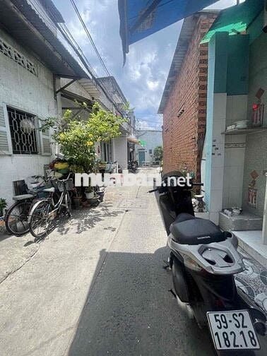 Nhà đường Hoà Bình, nở hậu tài lộc