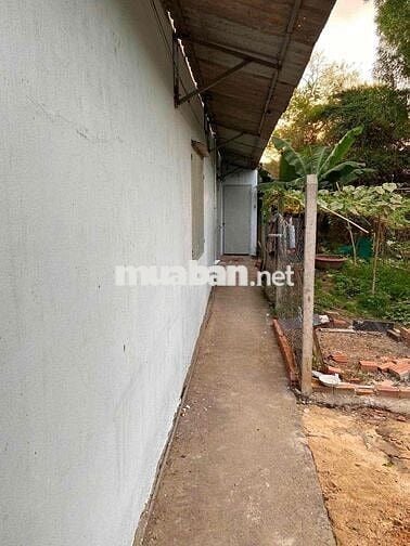 CẦN BÁN NHÀ NGUYÊN CĂN HÓC MÔN
