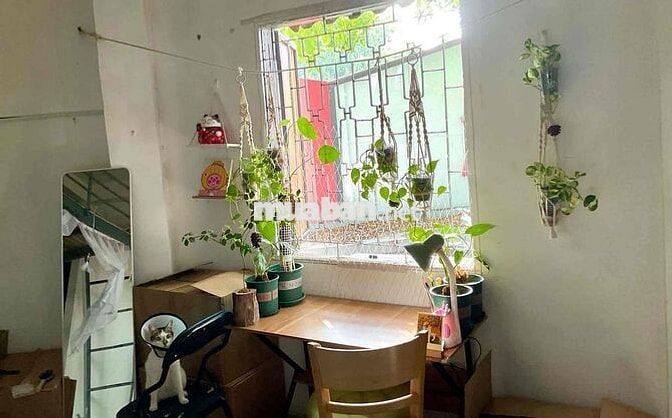 Duplex Tân Bình rộng rãi, thoáng mát