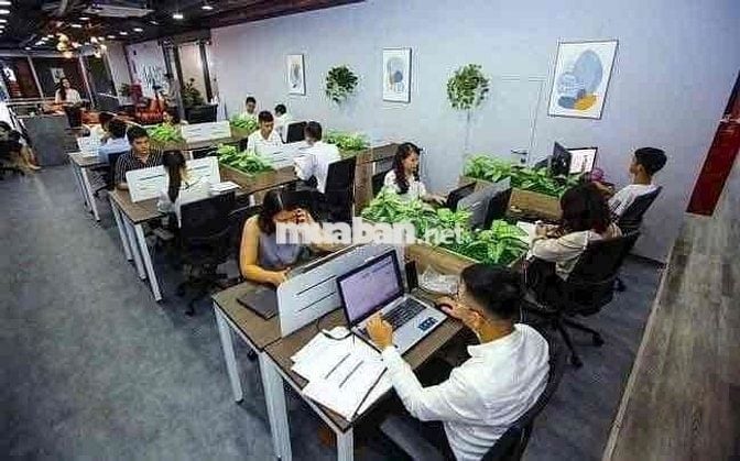 Mở rộng công ty cần ***