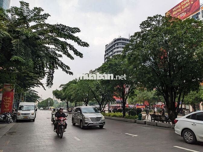 Hiếm, MB 800m2 MT Nguyễn Huệ Bến Nghé