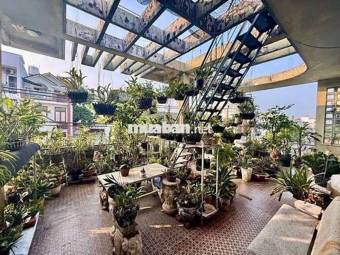 MT TRẦN QUY CÁP - BÌNH THẠNH - 8.2X28M - GIÁ 47 TỶ ( BÁN 1 CĂN 24.99TY