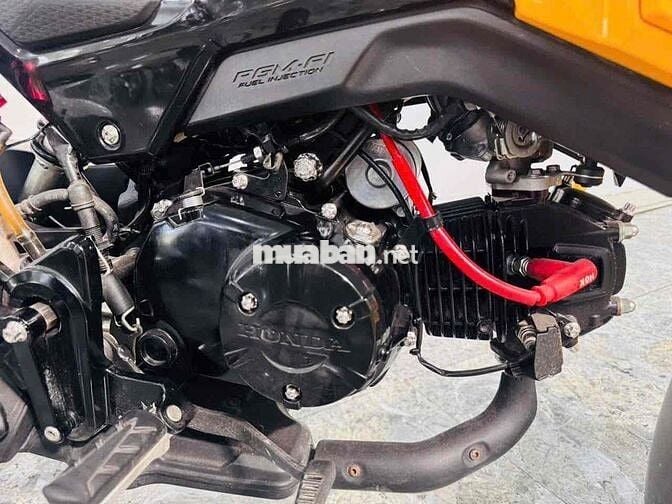 Honda MSX125 2020 Vàng 7000 km