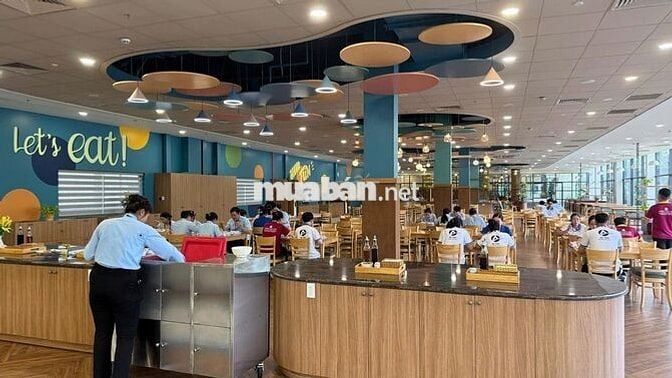 Bếp ăn Công Nghiệp tuyển Tạp vụ/Rửa chén