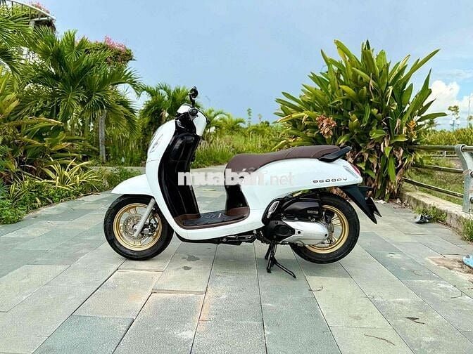 🛵Honda Scoopy 125 2021 Trắng Smartkey Chính Chủ