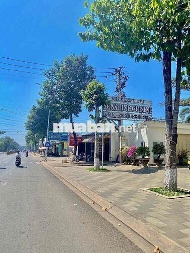 Nền Thổ cư sổ riêng giá rẻ gần trung tâm Long khánh