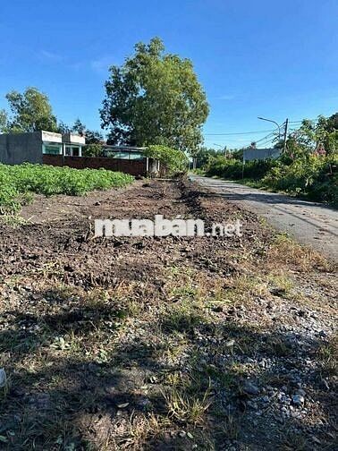 bán đất làm kho xưởng tại tóc tiên gần vành đai 4,dt:5285 giá 49ty