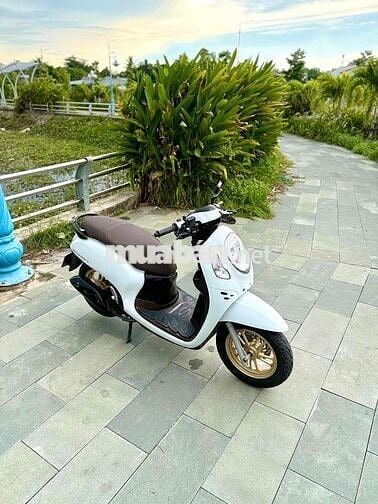 🛵Honda Scoopy 125 2021 Trắng Smartkey Chính Chủ