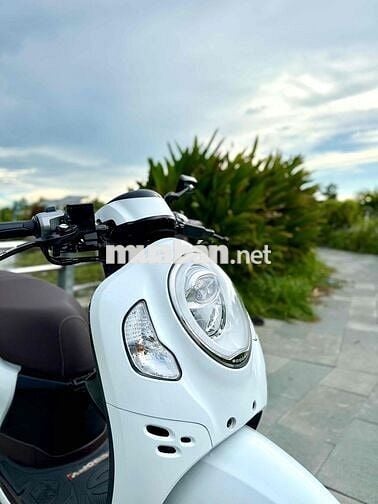 🛵Honda Scoopy 125 2021 Trắng Smartkey Chính Chủ