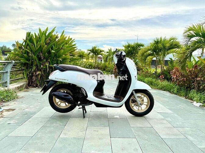 🛵Honda Scoopy 125 2021 Trắng Smartkey Chính Chủ