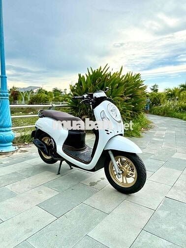 🛵Honda Scoopy 125 2021 Trắng Smartkey Chính Chủ