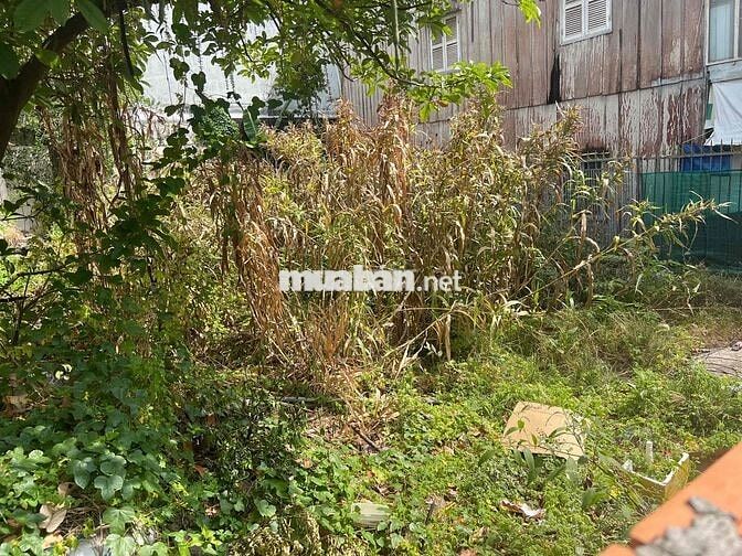 Ngân hàng thanh lý lô đất hẻm 141 Nguyễn Thái Học, Long Xuyên An Giang
