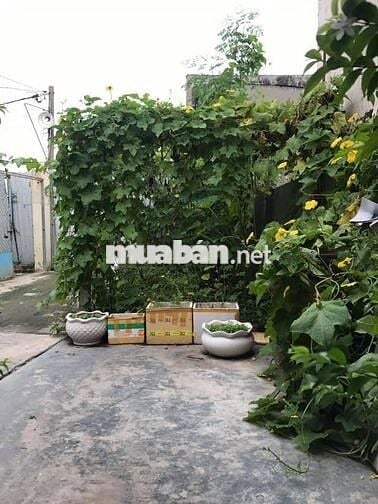 🔥 Xuất cảnh bán gấp 114,7m² đất nở hậu đẹp – Đối diện Urban Green 🔥
