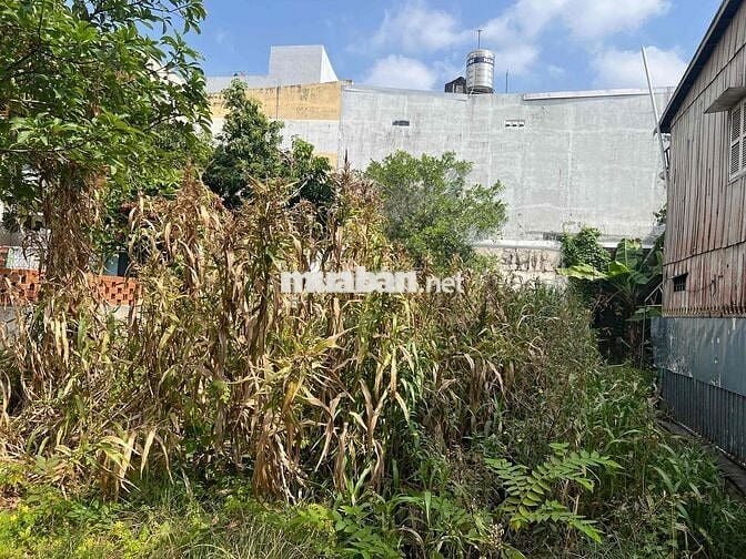 Ngân hàng thanh lý lô đất hẻm 141 Nguyễn Thái Học, Long Xuyên An Giang