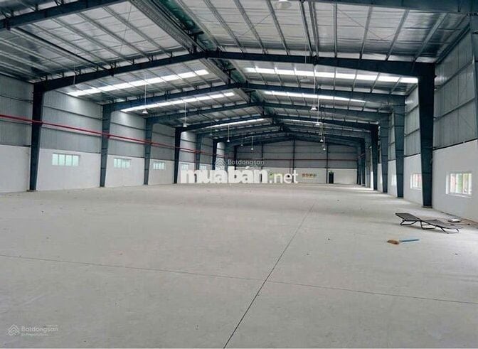 🏭 CHO THUÊ KHO XƯỞNG TẠI BÌNH TÂN – DIỆN TÍCH 1.000m²