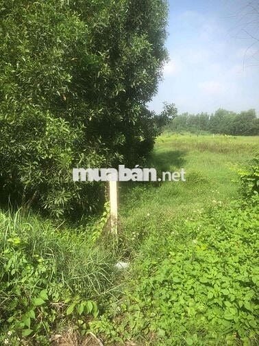 bán đất mặt tiền đường nhựa xã thiện tân