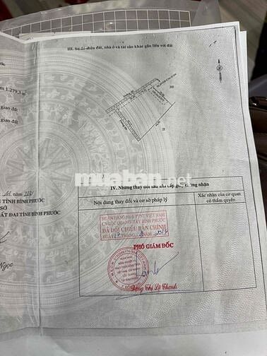 bán đất có nhà gần trung tâm thuận lợi mở quán xây nhà trọ nhà nghỉ