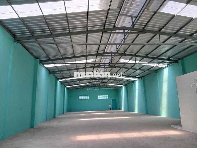 𝗫𝗨̛𝗢̛̉𝗡𝗚 𝗕𝗜̀𝗡𝗛  𝐓𝐀̂𝐍, 800m2, Đ.Cont