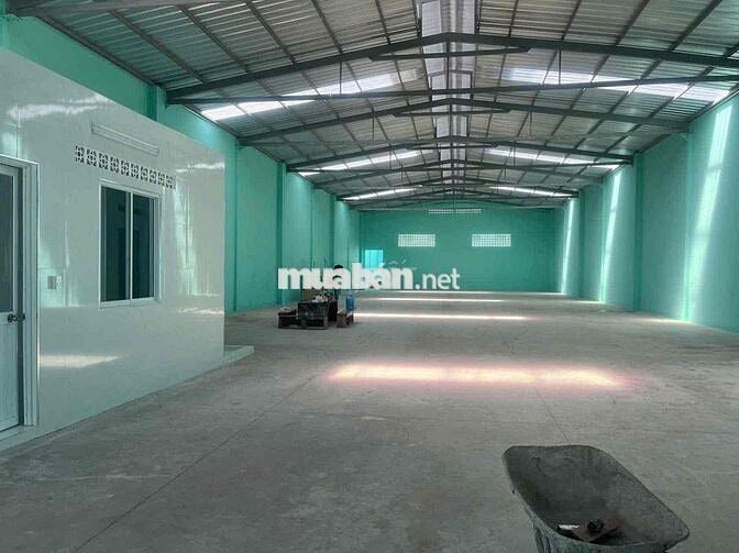 𝗫𝗨̛𝗢̛̉𝗡𝗚 𝗕𝗜̀𝗡𝗛  𝐓𝐀̂𝐍, 800m2, Đ.Cont