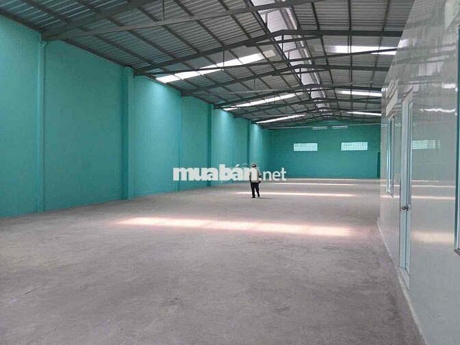 𝗫𝗨̛𝗢̛̉𝗡𝗚 𝗕𝗜̀𝗡𝗛  𝐓𝐀̂𝐍, 800m2, Đ.Cont