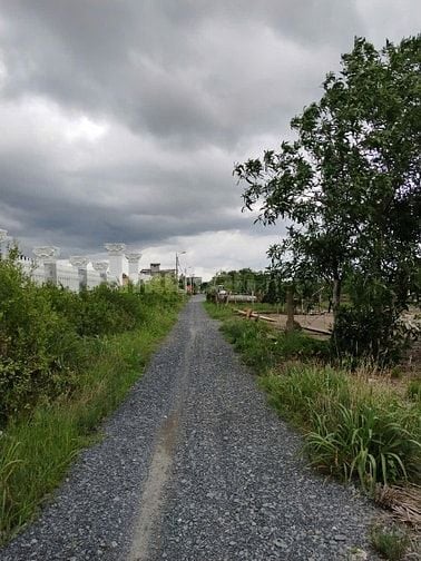Chính chủ cần bán 2758m² đất MT đường khu dân cư Bà Xán. Giá 15.5 tỷ