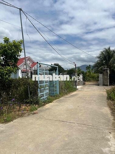 Cho thuê nhà diện tích lớn giá siêu rẻ