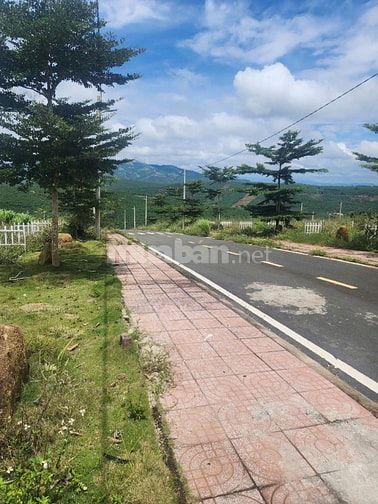 THÔNG BÁO ĐẤU GIÁ TÀI SẢN THEO THỦ TỤC RÚT GỌN