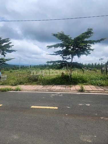 THÔNG BÁO ĐẤU GIÁ TÀI SẢN THEO THỦ TỤC RÚT GỌN