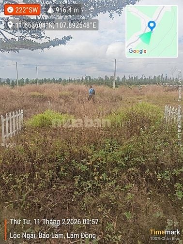 THÔNG BÁO ĐẤU GIÁ TÀI SẢN THEO THỦ TỤC RÚT GỌN
