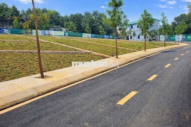 BÁN LÔ ĐẤT 132M, MT 8M, NGÃ BA KINH DOANH, NHỈNH 3 TỶ , HOÀ LẠC